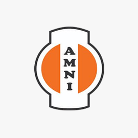 Amni International Petroleum Development Company Limited Logo