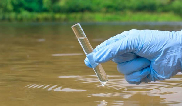 Laboratory Support Services